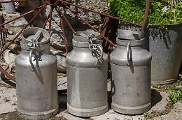 Aci Catena, i carabinieri scoprono e fanno chiudere un caseificio abusivo