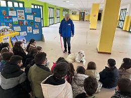 Ragusa, cos&igrave; la citt&agrave; si prende cura dei canili