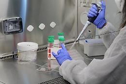 In ospedale perdono il campione della biopsia: niente referto e nuova bufera nella sanit&agrave; trapanese