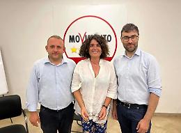 Abbattimento alberi, diffida dei 5 stelle all'assessore Alongi