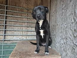 Chiaramonte, gli occhi di Fred invitano a riflettere