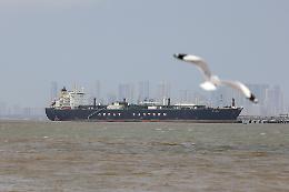 Il Pakistan disinnesca l'escalation: ipotesi sospensione dell'ultimatum Usa e riapertura di Hormuz per due settimane