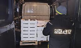 Sequestrati 400 kg di pesce non tracciato: tre sanzioni e cibo devoluto in beneficenza