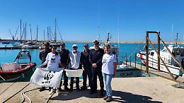 Pozzallo, salvata e liberata tartaruga Caretta caretta