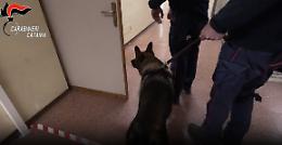 Blitz antidroga in una scuola di Randazzo: sequestrati spinelli e marijuana