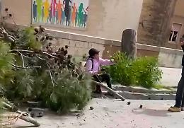 Ragusa, gli alberi e la mattinata movimentata nella piazzetta di via Benedetto Croce. Cinque stelle a corrente alternata