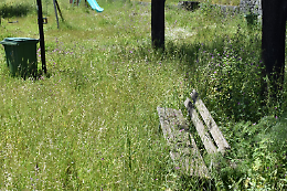 Tremestieri Etneo: il grido di un paese dimenticato