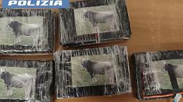 Auto rubata vicino allo stadio Massimino con 5 kg di cocaina confezionati con la foto di bovino