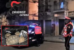 Attrezzi da scasso e quattro tartarughe protette in  un'auto: denunciati due uomini