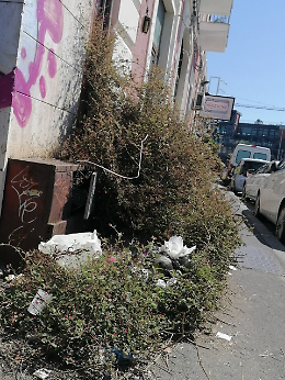 Via D'Amico, il biglietto da visita sporco di Catania: turisti e residenti ignorati