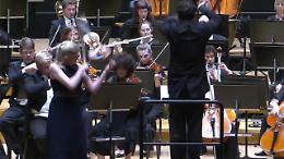 Bacchetta troppo libera, il direttore manda a terra un violino da un milione: il video