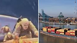 Stretto di Hormuz, uomini incappucciati e una scaletta per assaltare le navi: il video del sequestro della portacontainer Msc