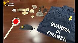 Jurassic Palermo: la Finanza sequestra all'aeroporto "pezzi" di dinosauri destinati al mercato nero