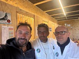 Santa Lucia delle Quaglie: la Dionisio celebra la colombofilia di Siracusa