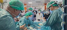 Cardiochirurgia pediatrica, i genitori del Comitato: "La salute dei nostri figli non &egrave; negoziabile"