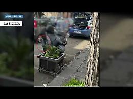 Sparatoria davanti alla barberia: arrestato il nipote del boss, ma l'obiettivo era un altro