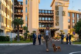 Cani e gatti alla scrivania: a Catania l'ufficio diventa "pet-friendly" 