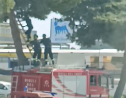 Vittoria, salvato un gattino che si era arrampicato in cima a un albero monumentale
