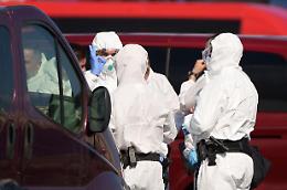 Hantavirus, l&rsquo;allarme non si spegne: il caso Veneto &egrave; negativo, mentre l&rsquo;Europa continua a inseguire la scia della Hondius