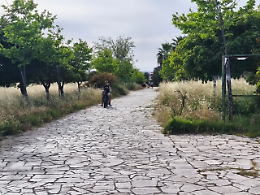 Parco Robinson in degrado: uno dei pochi polmoni verdi di Siracusa abbandonato