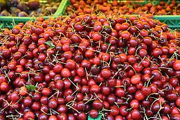 L'effetto clima su frutta e ortaggi: produzione di ciliegie in pieno boom con un calo del prezzo all'ingrosso
