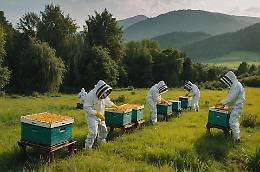 E' la Giornata mondiale delle api: il miele racconta il territorio e tutela la biodiversit&agrave;
