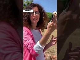 Teresa Mannino: "Vi porto a Piazza Magione, dove crebbero Falcone e Borsellino, un luogo simbolo, ma trascurato"