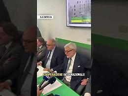 Il tesoro di Matteo Messina Denaro, sigilli a beni per 200 milioni: &laquo;Ma sono molti di pi&ugrave;&raquo;