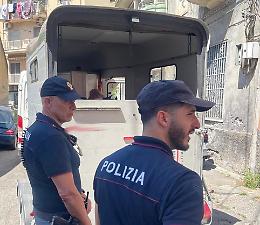 Tre pony sequestrati in un immobile fatiscente a San Cristoforo: sospetta corsa clandestina