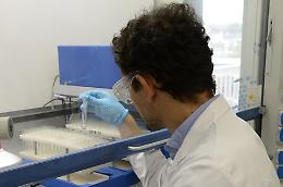 Ebola, in arrivo ordinanza in Italia e Meloni solleva il tema della gestione delle frontiere