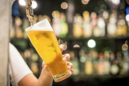 Slow Food presenta la Guida 2027 alle birre d'Italia. Ecco i birrifici premiati, c'&egrave; anche un siciliano