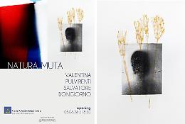 "Natura Muta", la fotografia senza fotocamera e le memorie botaniche 