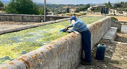 San Giacomo (Ragusa), sopralluogo all'abbeveratoio. Caruso: "E' in condizioni pessime" 