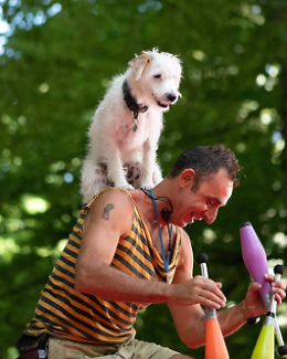 &ldquo;Cirque&rdquo;, ultimo atto a Zō: Unnico e Ugo, la complicit&agrave; fra Andrea D'Amico e il suo cane