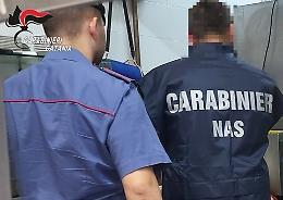 NAS a Piedimonte Etneo: bar-pasticceria multato 2.000 euro per violazioni igienico-sanitarie