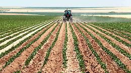 Agricoltura, Lollobrigida: &laquo;Sistema italiano tra i pi&ugrave; forti d&rsquo;Europa&raquo;