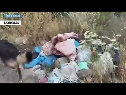 Droga tra i rifiuti e in altri luoghi: 11 kg chili di marijuana sequestrati in pochi giorni