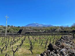 &ldquo;Vulcanica&rdquo; , i produttori di vino del versante Sud-Ovest dell&rsquo;Etna si riuniscono a Biancavilla