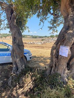 Modica, scatta il sequestro preventivo in contrada Zappulla