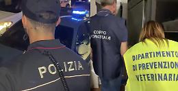 Lavoro nero, poca sicurezza e 32 kg di prodotti non tracciati: maxi sanzioni per due locali a Catania