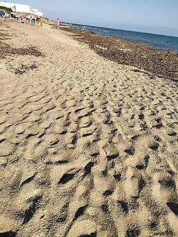 La spiaggia di Casuzze-Caucana in condizioni sempre pi&ugrave; critiche