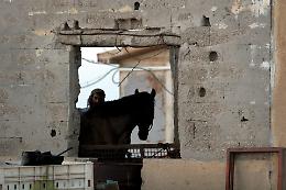 L'Europa stringe la morsa: sanzioni ai coloni israeliani illegali e ipotesi di embargo commerciale 