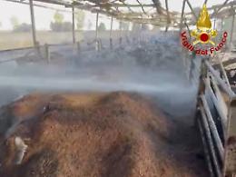 Caldo, bruciano sterpaglie: 22 interventi nel Catanese 