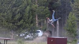 La disavventura nel parco di Yellowstone: bisonte da 900 chili colpisce un turista