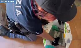 Pi&ugrave; di mezzo chilo di droga nel garage affittato: pusher in cella grazie al fiuto del cane poliziotto 