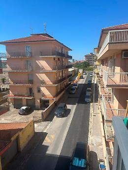 Troppi ratti in via Monte Bianco a Ragusa, Caruso: "Intervenire con urgenza"