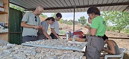 Segreti paleocristiani nella Valle dei templi: scoperto un mosaico e una vasca rituale
