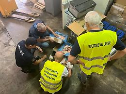 Non tracciabili, mal conservati e tenuti in un magazzino non idoneo: sequestrati e distrutti alimenti per le navi da crociera