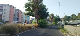 Traffico a rischio a Fasano, Catania: erba e arbusti soffocano marciapiedi e carreggiata