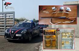 Armi nascoste, formaggi illegali e amianto: maxi sequestro dei Carabinieri in una masseria a Catania 